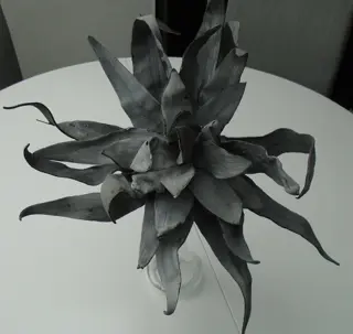 FOAM DECO ALOE 40 cm GRIJS NIEUW