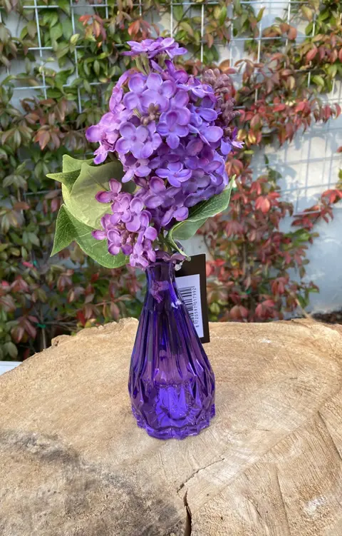 HORTENSIA klein paars bosje