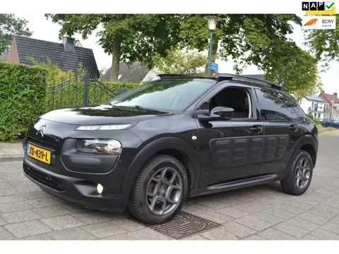 Citroen C4 Cactus 1.6 BlueHDi Business Plus