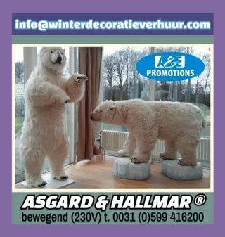 Aankleding winterwonderland zoetermeer leiden t.0599 416200