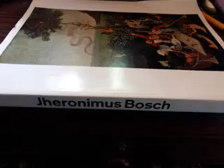 Jheronimus bosch -  de beroemde schilder