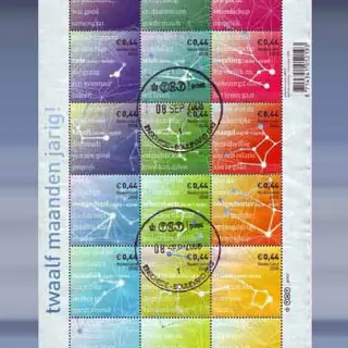 Twaalf maanden jarig (2008)