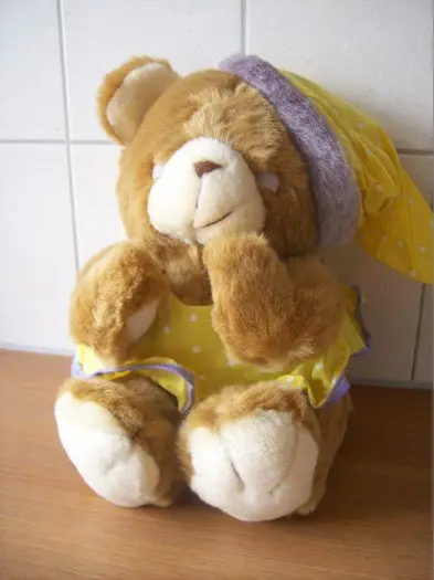 Beer in Pyjama ,of moederbeer met jong e.a