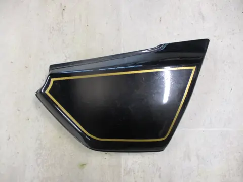 RECHTER ZIJKUIP KLEIN Kawasaki Overige Kawasaki 1960 - 2021