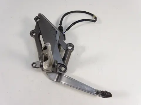 RECHTER SCHETSPLAAT Kawasaki Ninja 300 2013 - 2017