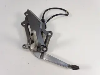 RECHTER SCHETSPLAAT Kawasaki Ninja 300 2013 - 2017
