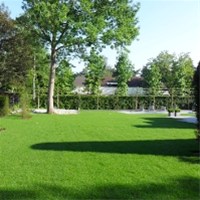 Graszoden leggen