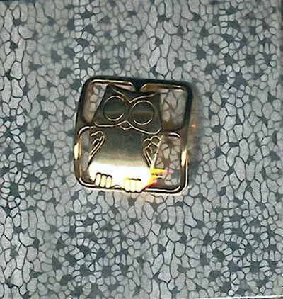 Uiltje als design sjaalclip in metaal