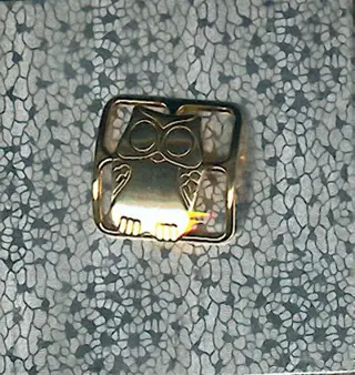 Uiltje als design sjaalclip in metaal