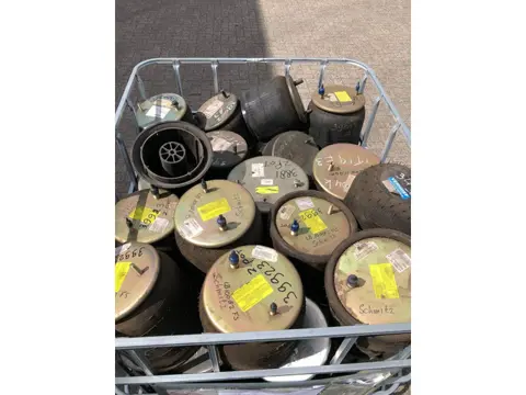 Grote partij Verschillende soorten luchtbalgen