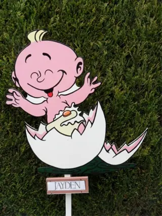 Origineelste geboorteborden oa baby uit ei