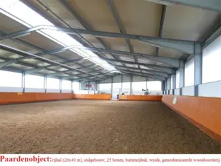 Paardenobject, 21 boxen, rijhal 20x40 m., landerijen