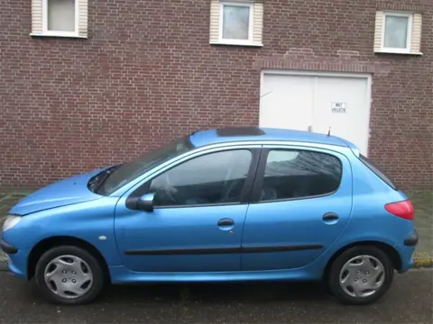 Peugeot 206 1.9 Diesel Plaatwerk en Onderdelen
