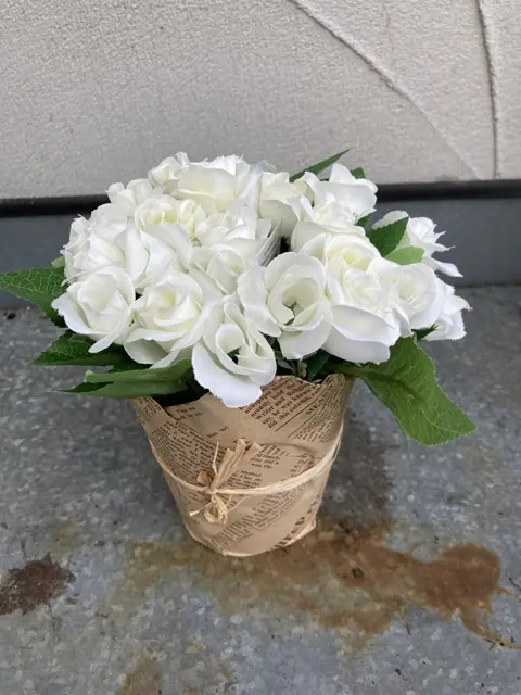 ROOS WIT IN POTJE MET PAPIEREN (KRANTEN) HOES NIEUW