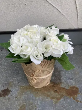 ROOS WIT IN POTJE MET PAPIEREN (KRANTEN) HOES NIEUW