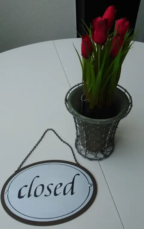 TULPEN ROOD MET AARDE NIEUW