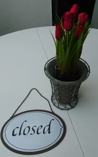 TULPEN ROOD MET AARDE NIEUW