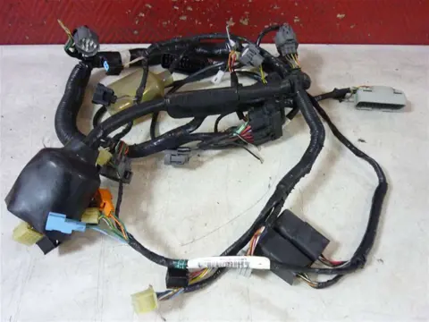 KABELBOOM Honda CBR 600 F 2001 - 2007