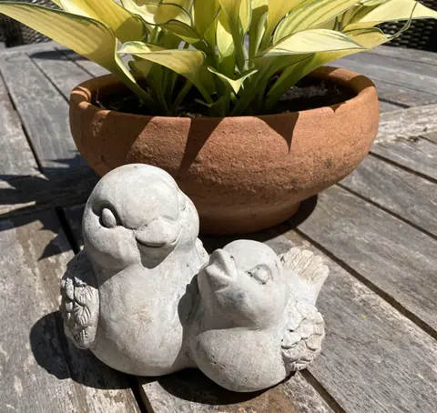 BIRDS CONCRETE POP MET KUIKEN NIEUW