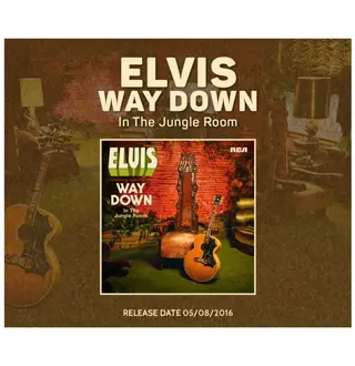 Elvis Way Down In The Jungle Room 2-LP