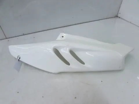 LINKER ACHTERKANT Honda CBR 900 RR 1996 - 1997 / 1998 - 1999
