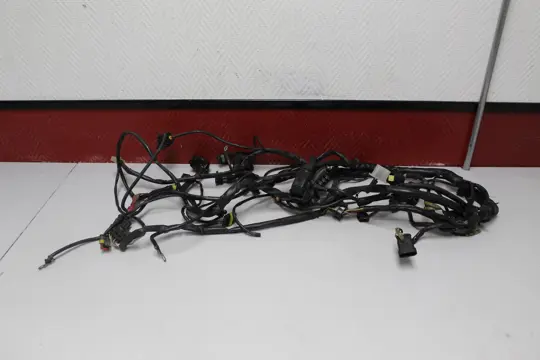 KABELBOOM Ducati Monster 800 2003 - 2004