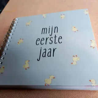 Baby's eerste jaar boek