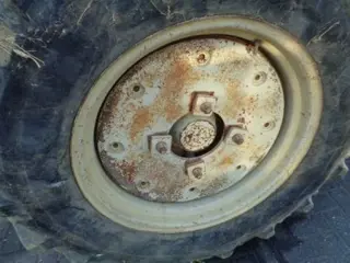 Wielgewichte - wielgewichte