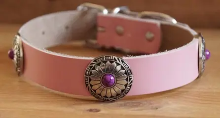 Leren hondenhalsband " Concho met paarse steen " Roze