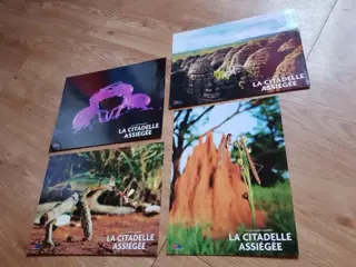 LA CITADELLE ASSIEGEE lobbycard set.