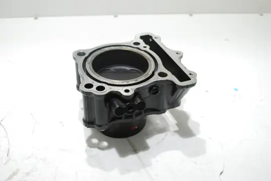 CILINDERBLOK Suzuki SV 650 1998 - 2002