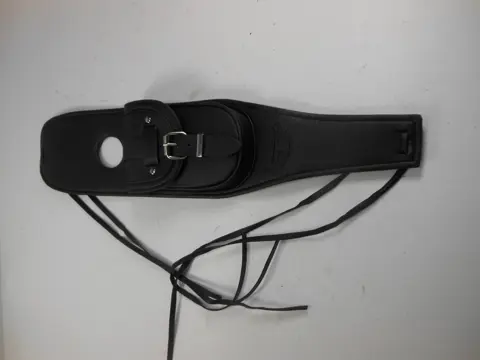 TANK Harley Davidson Sportster 2004 - 2021