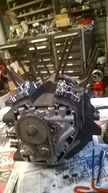 REVISEREN ; HARLEY blok , Twincam 1999 - 2017