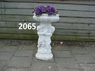 Gruppo carpi plantenbak.