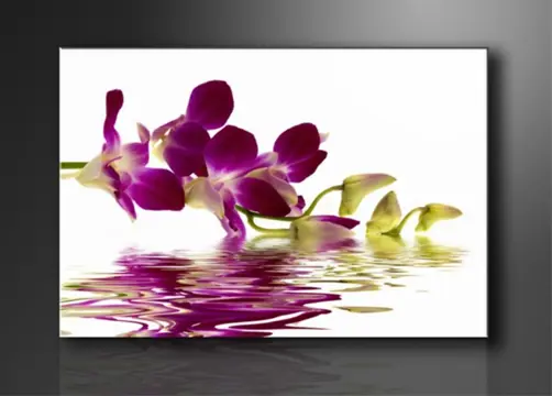 Nieuw canvas schilderij Orchidee 120 x 80 cm
