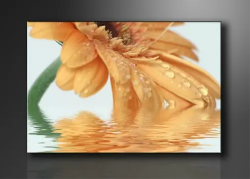 Nieuw canvas schilderij Bloem 120 x 80 cm