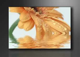 Nieuw canvas schilderij Bloem 120 x 80 cm