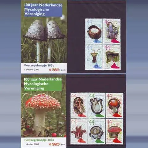 Paddestoelen (2008)