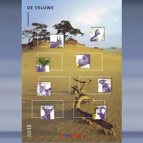 De Veluwe (2004)
