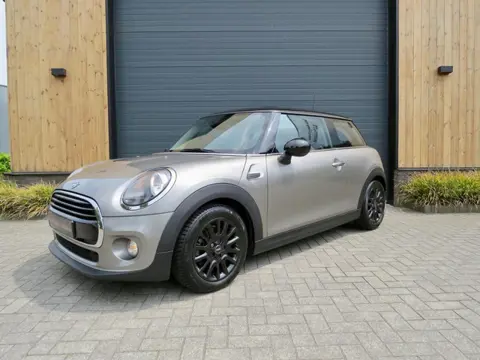 Mini 1.5 Cooper Salt automaat *Navi *Cruise con *16 inch