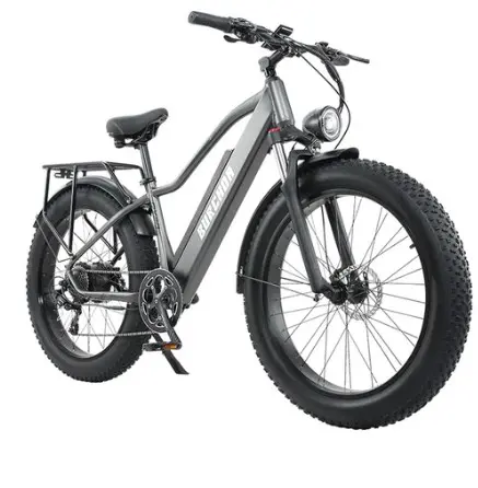 BURCHDA RX20 26*4.0 Inch All-terrain Fat Tire Electric Bike