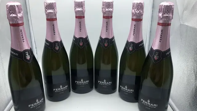 Fratelli Lunelli, Ferrari Maximum Rosé - Trentino Alto