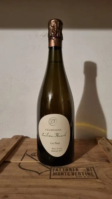 2015 Emilien Feneuil, Les Puits - Champagne Blanc de Noirs