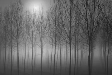 Sergio Sberna - "prime luci"