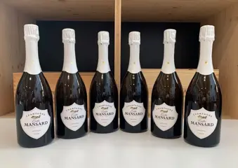 Gilles Mansard "Ancestral" - Champagne Brut - 6 Flessen