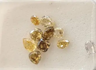 10 pcs Diamanten - 1.04 ct - Meng vormen - Mix Fancy Colors