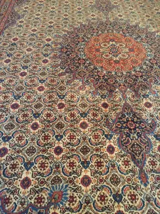 Moud - Tapijt - 313 cm - 212 cm