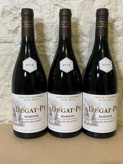 2018 Dugat Py - Bourgogne rouge“Cuvée Halinard” -