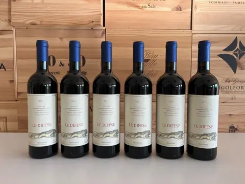 2021 Tenuta San Guido "Le Difese" - Toscana IGT - 6 Flessen