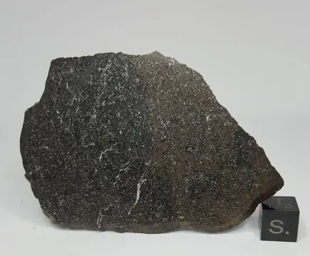 Meteoriet H6 Breccia, NWA 15681. Clast en matrix zijn sterk